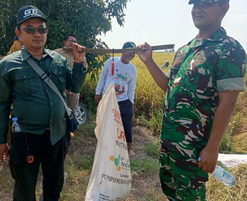 Panen Harapan di Tanah Cibereng