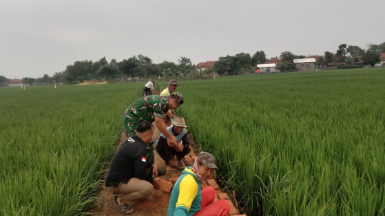 Babinsa Cibereng dan Warga Bersinergi Bangun Tembok Penahan Tanah Demi Kelancaran Akses Warga